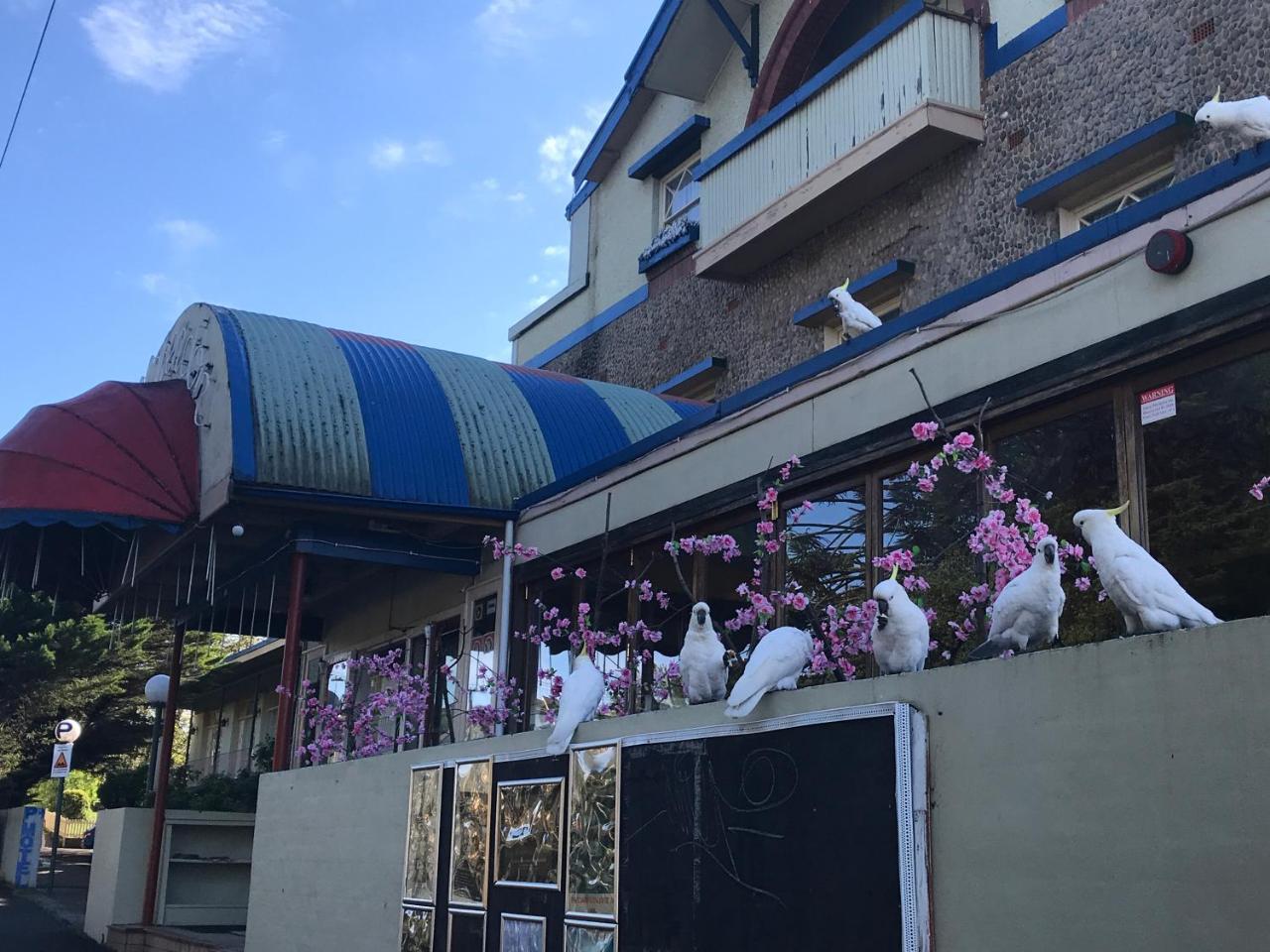 The Clarendon Motel Katoomba Εξωτερικό φωτογραφία
